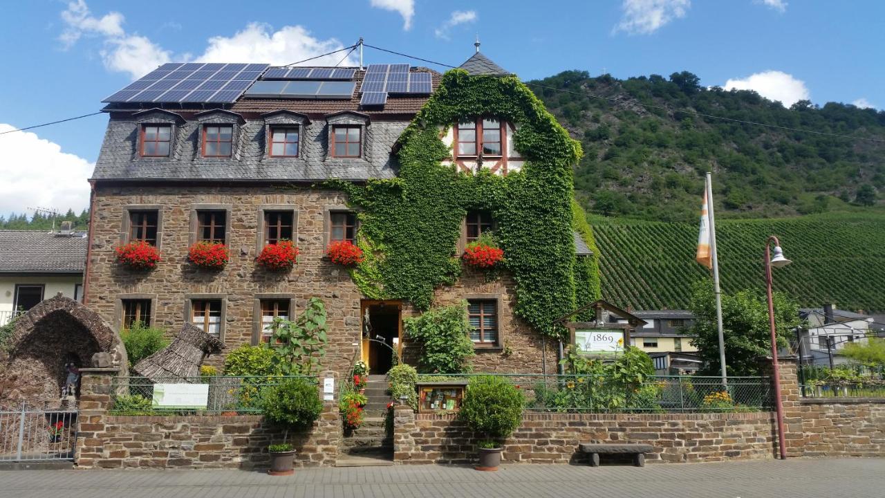Apartament Weingut -1869- Brunnenhof Hatzenport Zewnętrze zdjęcie